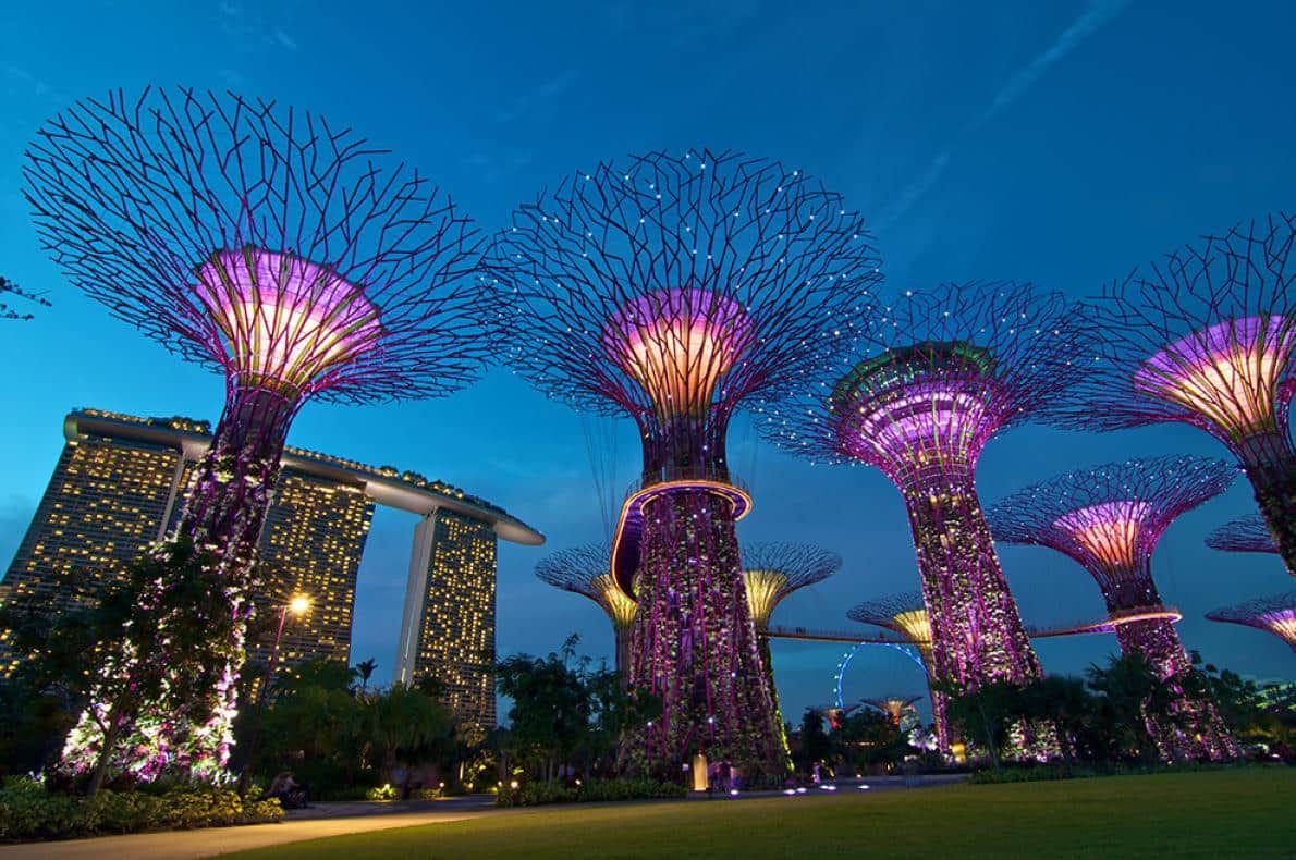 Gardens by the Bay